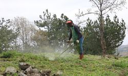 Vezirköprü'de mezarlıklarda temizlik çalışması yapıldı