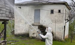 Yağlıdere'de kahverengi kokarcayla mücadele kapsamında ilaçlama yapıldı