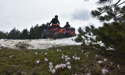 Zigana Dağı safari yapmak isteyenleri ağırlıyor