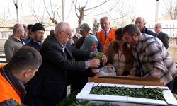 Atakumlu çiftçiye 100 bin sebze fidesi