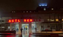 İş arkadaşını bıçaklayarak öldürdü