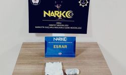 Ordu'da yasaklı madde operasyonunda 1 tutuklama