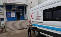 Psikolog, diyetisyen, fizyoterapist hepsi ücretsiz: Bafra'da büyük imkan