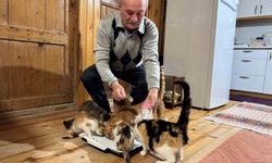 Sokak kedilerine evinin kapısını açtı, onlara yuva oldu