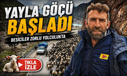 Karadeniz’de göç zamanı: Sürüler yollara indi, yayla göçü başladı