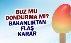 Dondurma mı Buz mu? Bakanlıktan Etiket Devrimi!