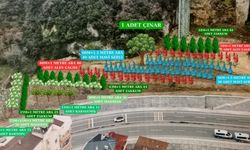 Trabzon Barosu doğa ve hukuk ormanı projesini başlattı