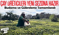 Çay Üreticileri Sezona Kilitlendi: Budama ve Gübreleme Tamamlandı
