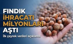 Fındık ihracatı milyon dolarları aştı: İlk çeyrek verileri açıklandı