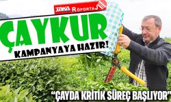 ÇAYKUR Kampanyaya Hazır! “Çayda Kritik Süreç Başlıyor”