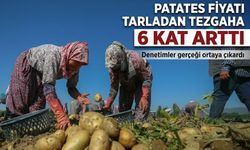 Patates Fiyatı Tarladan Tezgaha 6 Kat Arttı ;Denetimler gerçeği ortaya çıkardı