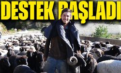 Küçükbaş Hayvancılıkta Dev Destek Başladı: 100 Hayvan ve Nakit Ödeme Fırsatı