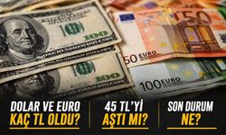 Dolar Ve Euro Kaç TL Oldu? 45 TL’yi Aştı Mı?