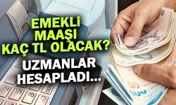 Emekli Maaşı Kaç TL Olacak? Uzmanlar Hesapladı...