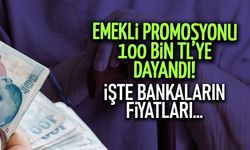 Emekli Promosyonunda Nisan Rekoru: Tam 100 Bin TL!