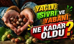 Fındık Fiyatları Ne Kadar Oldu? Yağlı, Sivri ve Yabani Fındık Fiyatları Bugün Kaç TL?