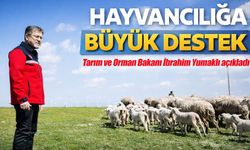 Tarım ve Orman Bakanı Yumaklı açıkladı ;Küçükbaş Hayvancılığa Büyük Destek