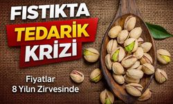 Antep Fıstığında Kriz: Fiyatlar 8 Yılın En Yüksek Seviyesinde