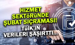 Hizmet Sektöründe Şubat Sıçraması: Teknoloji Uçurdu!