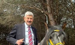 Başkan Çebi Turup'u At Üstünde İnceledi: Araklı'nın turizmi şahlanıyor