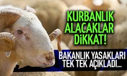 Kurbanlık Alacaklar Dikkat! Bakanlık Yasakları Tek Tek Sıraladı
