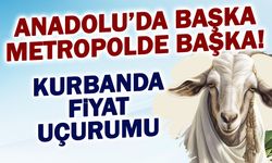 Anadolu'da Başka, Metropolde Başka! Kurbanda Fiyat Uçurumu