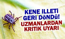 Kene Kabusu Geri Döndü! Uzman İsimden Kritik Uyarı