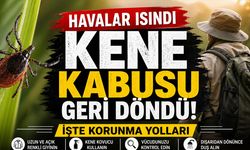 Havalar Isındı Kene Kabusu Geri Döndü! İşte Korunma Yolları...