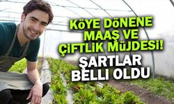 Köye Dönene Çiftlik ve Maaş Müjdesi: Şartlar Belli Oldu!