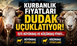 Kurbanlık Fiyatları Dudak Uçuklatıyor! İşte Büyükbaş ve Küçükbaş Fiyatı