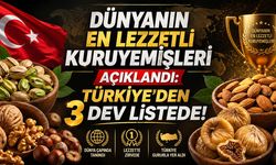 Dünyanın En Lezzetli Kuruyemişleri Açıklandı: Türkiye’den 3 Dev Listede!