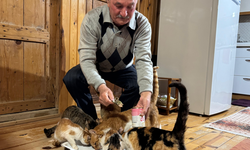 Giresun’da emekli çiftin evi 18 kediye yuva oldu