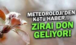 Zirai Don Geliyor: Hangi İllerde Kar ve Don Bekleniyor?