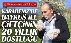 Ordu’da Duygulandıran Hikâye: Çiftçi ve Baykuşun 20 yıllık Bağı