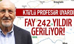Uzman İsimden Yedisu Depremi Sonrası Korkutan Uyarı: "242 Yıldır Bekliyor!"