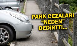 Park Cezaları ‘’Neden’’ Dedirtti