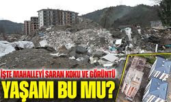 Rize’de Çöp İsyanı! Mahalleyi Saran Koku ve Görüntü Tepki Çekti