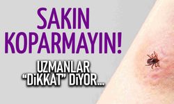 Kene Kabusu Geri Döndü: Tek Bir Yanlış Hayat Karartabilir!