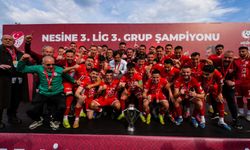 Sebat Gençlikspor, Nesine 3. Lig 3. Grup’ta 9 puan farkla zirvede yer aldı ve 2. Lig’e yükselmeyi başardı