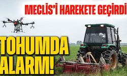 Tohumda Alarm! Karal Meclis’i Harekete Geçirdi