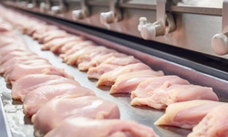 TÜİK verilerine göre şubat ayında üretim geriledi, yıllık bazda ise artış sürüyor