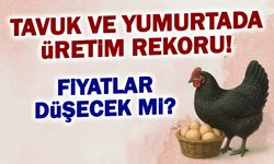Tavuk ve Yumurtada Üretim Rekoru: Fiyatlar Düşecek mi?