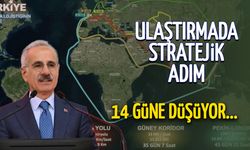 Hürmüz Boğazı'na Alternatif: Türkiye'nin 15 Günlük Yeni Ticaret Hattı