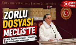 CHP’li Suiçmez’den İlayda Zorlu olayı için dikkat çeken açıklamalar