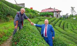 Rize’de çay hasadı gecikiyor: Yılmaz Katmer’den üreticiye destek mesajı