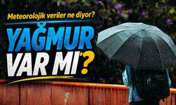 Karadeniz'de Yaz Yağmuru: Hangi İller Güneşli, Hangileri Yağmurlu?