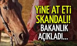 Sofrada Yine At ve Eşek Eti Skandalı: Bakanlık İfşaladı!