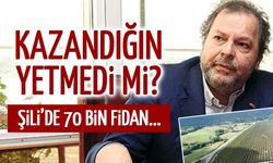 Kazandığın Yetmedi mi? Şili'de 70 Bin Fidan...
