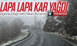 Zigana Dağı’nda Nisan Sürprizi: Lapa Lapa Kar Yağdı