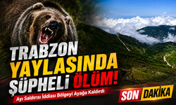 Trabzon Yaylasında Şüpheli Ölüm! Ayı Saldırısı İddiası Bölgeyi Ayağa Kaldırdı